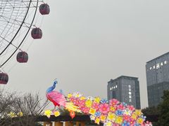-武汉园博园(武汉自然博物馆)
