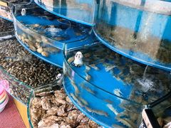 水产区-京秀缘蒸汽海鲜农家菜大馅蒸饺