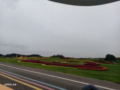 -空港花田景区