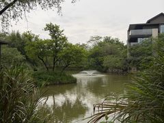 -木守西溪溪隐餐厅