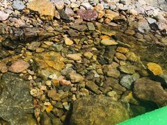 -安吉龙王山峡谷漂流