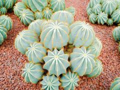 -南通洲际绿博园