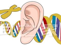 -自然之声助听器·呼吸机(和平店)