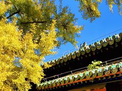 -大觉寺-停车场