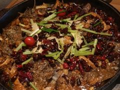 -老板恋上鱼(印象城店)