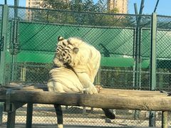 -郑州市动物园