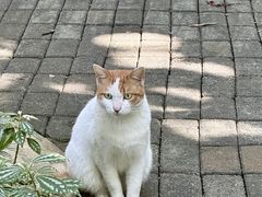 -广州珠江公园
