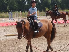-北京群众马术培训基地