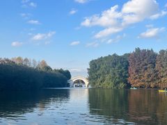 -上海海湾国家森林公园