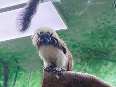 -上海野生动物园