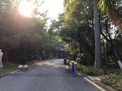 -聚龙小镇