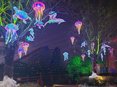 -郑州方特梦幻王国