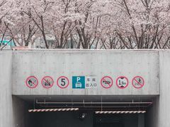 -龙美术馆西岸馆-停车场