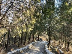 -阳台山自然风景区