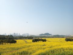 -光明小镇欢乐田园
