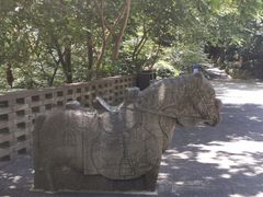 -上海佘山国家森林公园西佘山园