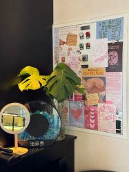 点击看大图 -玛莲朵·海菲秀冰珀科