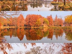 -颐和路民国时期公馆风貌区