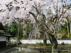 -醍醐寺