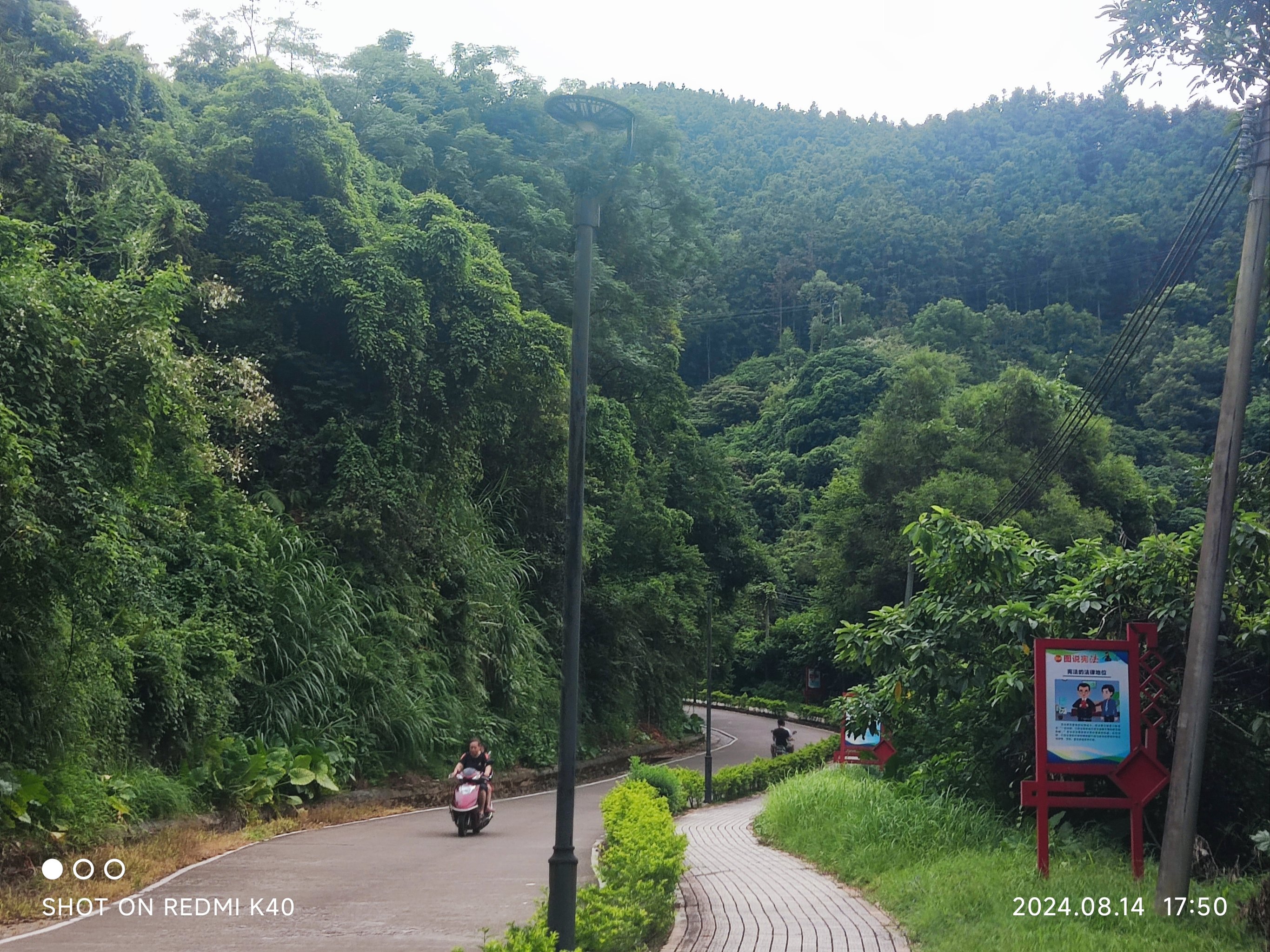 鹿寨山公园环山路图片