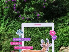 -广州市白云山风景名胜区