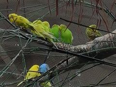 -南宫五洲植物乐园