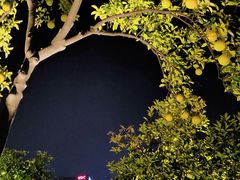 -钱江新城灯光秀
