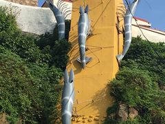-枸杞岛