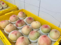 -老袁家蜜桃农场·阳山水蜜桃