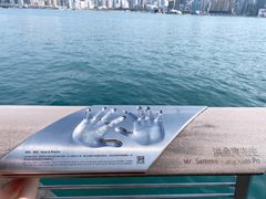 -海港城