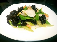 -高第街56号餐厅(凯德mall新都心店)