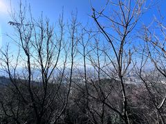 -杭州半山国家森林公园