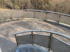 -羊山湖公园