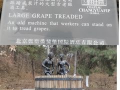 -北京张裕爱斐堡酒庄