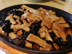 -素虎小呆鸟(西二旗店)