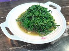 -靖远尕六美味羊羔肉