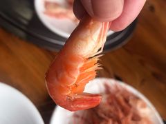 -八仔大富楼·河鲜(西江店)