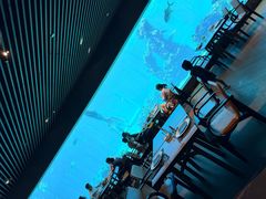 -海棠湾洲际-涛·海底餐厅·美人鱼·自助餐·海底隧道
