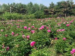 -长春公园(普阳街道)