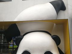 -熊猫邮局(少城店)