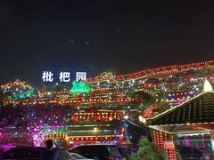 -枇杷园食为鲜火锅(南山店)