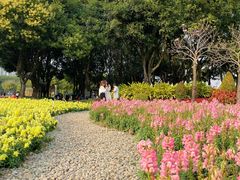 -文华公园(禅城区)