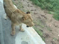 -西安秦岭野生动物园