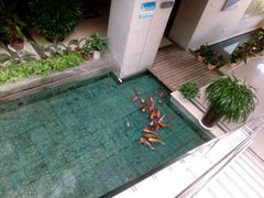 -海天一色海景自助餐厅(西港花园店)