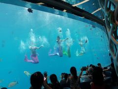 -瑞德姆美人鱼海底演艺主题餐厅(亚龙湾店)