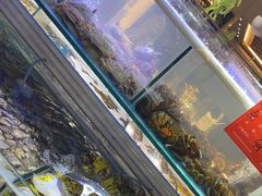 -四海蒸鲜蒸汽海鲜自助(北戴河店)