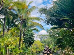 -西双版纳洲际度假酒店-泰傣餐厅