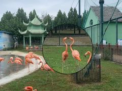 -秦皇岛野生动物园