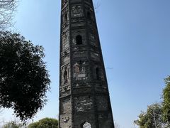 -上海佘山国家森林公园天马山园