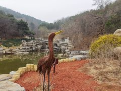 -北京西山国家森林公园